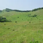Βίλα Domacinstvo Koprivica *