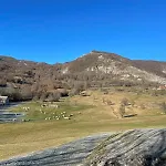Domacinstvo Koprivica