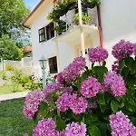 Βίλα Domacinstvo Koprivica