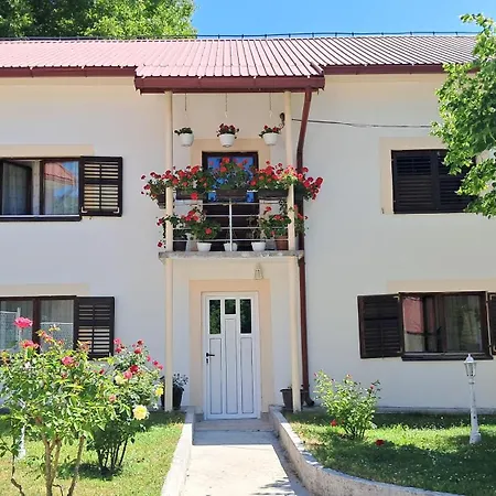 Domacinstvo Koprivica