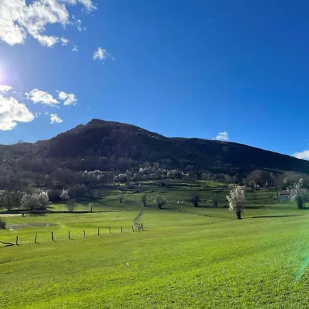 Villa Domacinstvo Koprivica