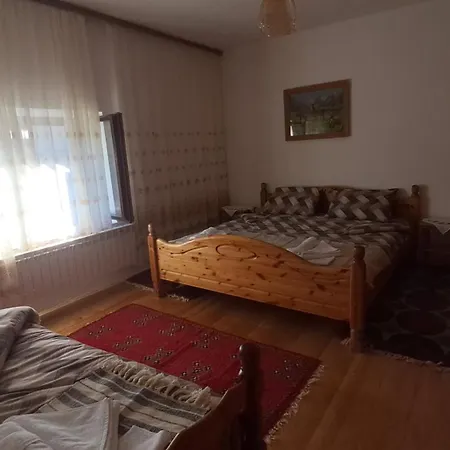 Domacinstvo Koprivica Villa *