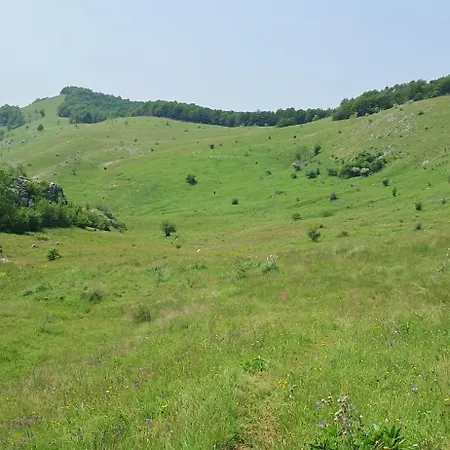 Villa Domacinstvo Koprivica *