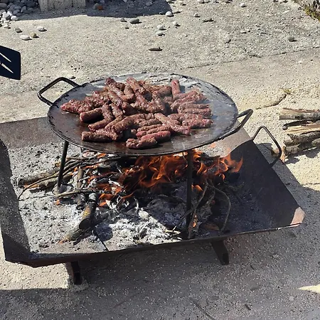 Domacinstvo Koprivica Villa *