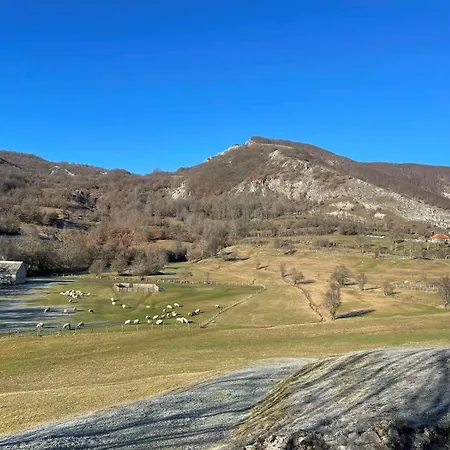 Domacinstvo Koprivica