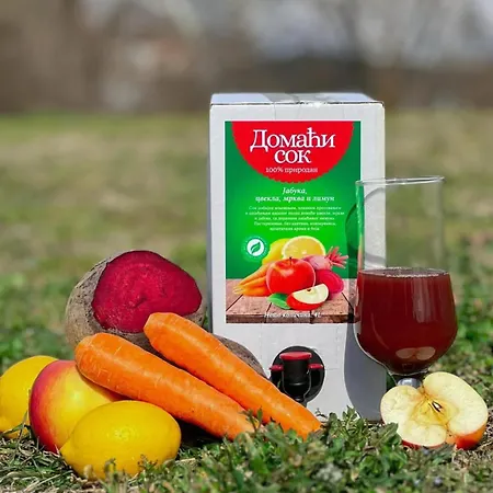 Domacinstvo Koprivica Villa