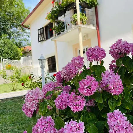 Villa Domacinstvo Koprivica